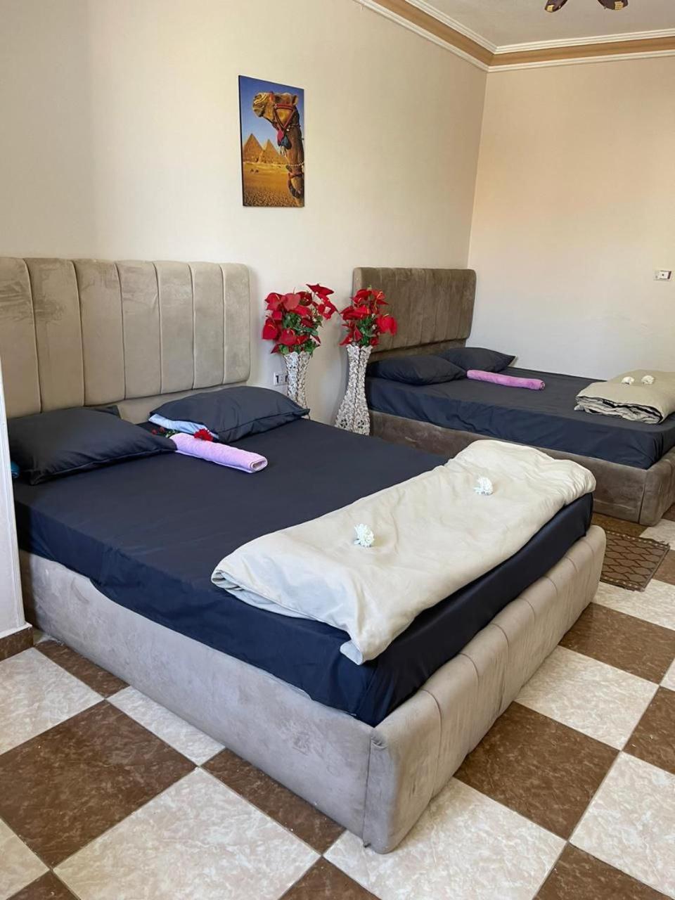 Hotel Explore Stars Pyramids View Kafrat al Jabal
